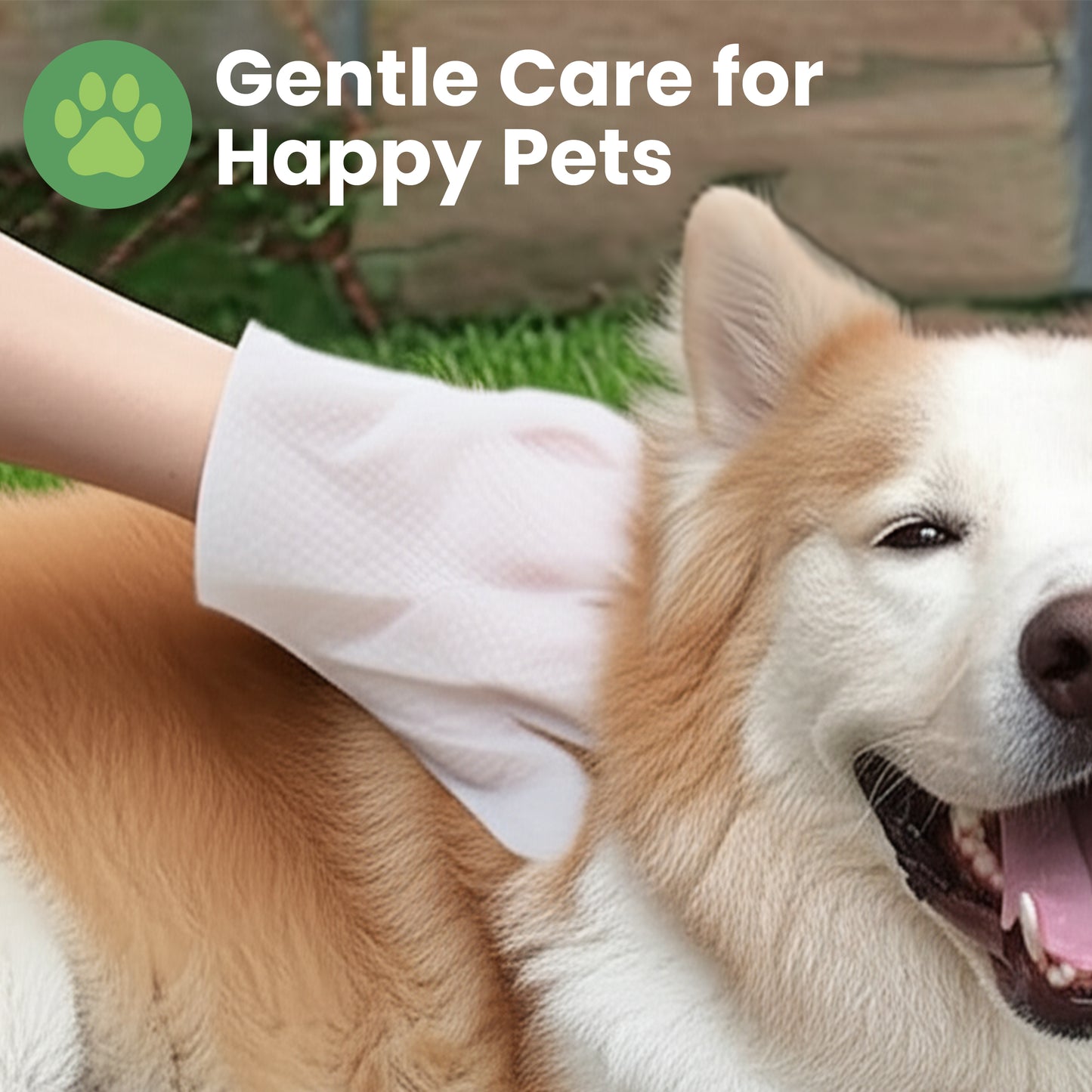 WIPEEZ™ Pet Glove Wipes